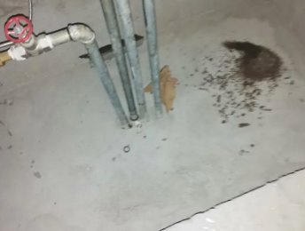 山亭卫生间测漏水价格明细