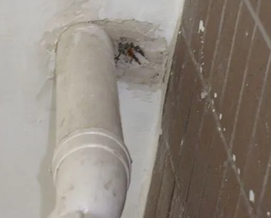 山亭漏水检测哪家好